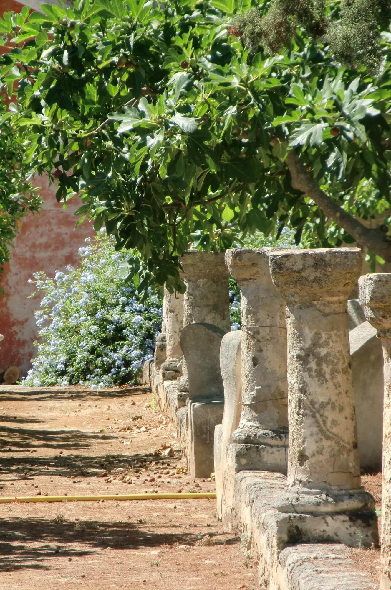 غالاتوني Palazzo Leuzzi B&B المظهر الخارجي الصورة