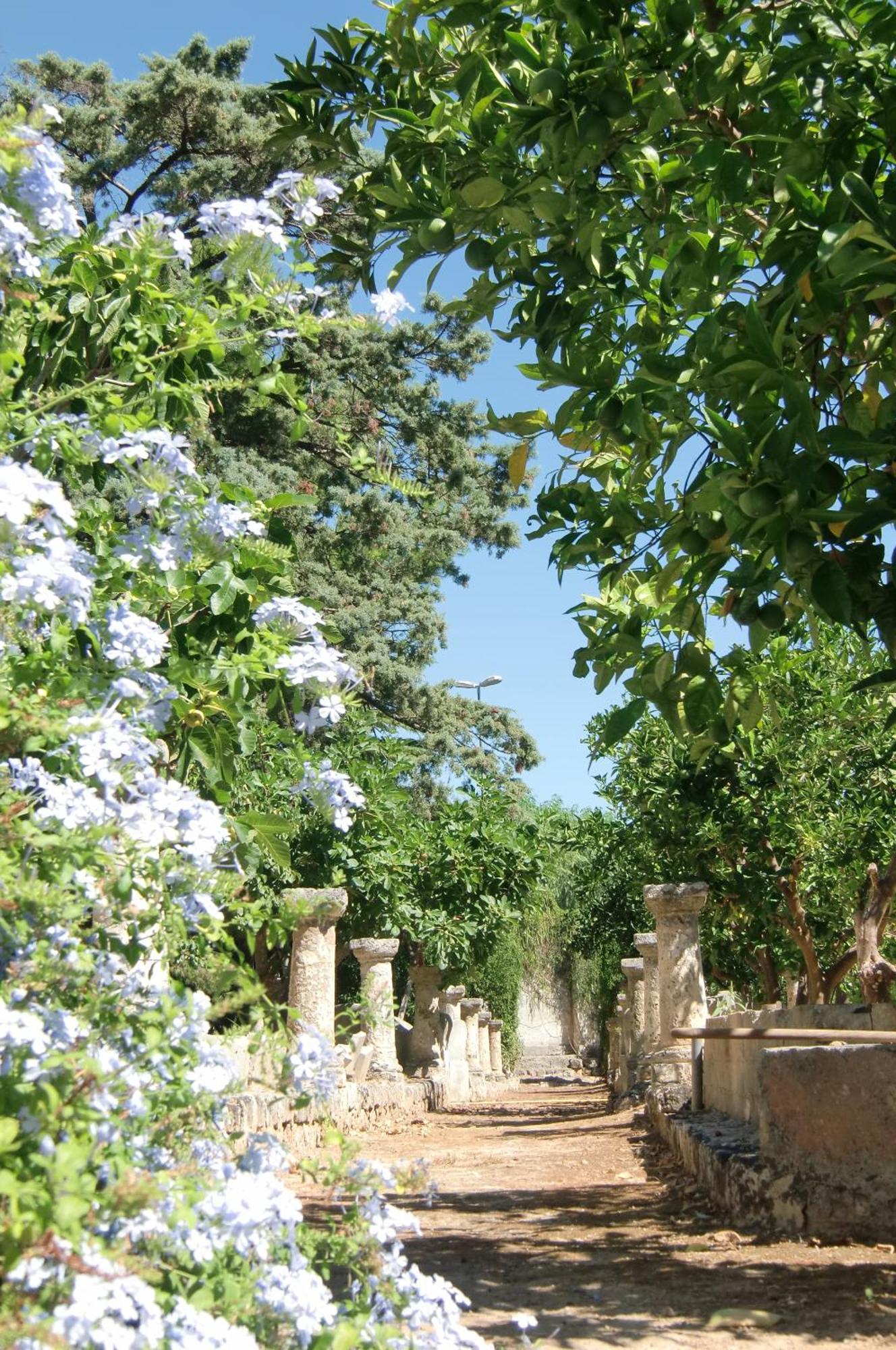 غالاتوني Palazzo Leuzzi B&B المظهر الخارجي الصورة